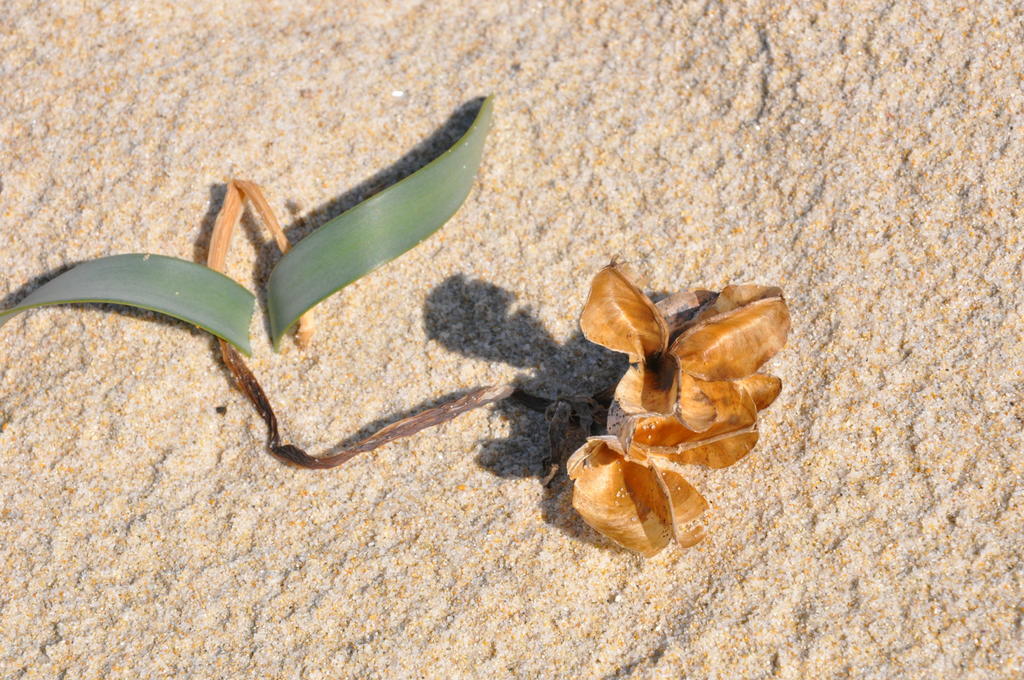 מונטה נאי Appartamento Le Ginestre מראה חיצוני תמונה